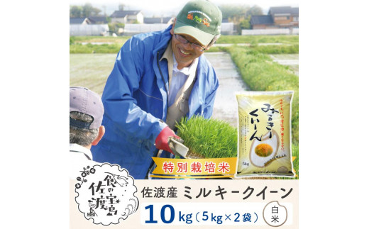 特別栽培米　ミルキークィーン　白米　10kg