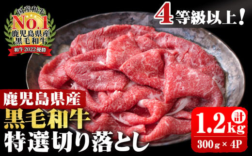 4等級以上 鹿児島県産 黒毛和牛特選切り落とし 計1,200g (300g×4P) b0-163-D