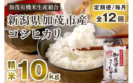 【定期便12ヶ月毎月お届け】新潟県加茂市産コシヒカリ 精米10kg（5kg×2）白米 加茂有機米生産組合 定期便 965145 - 新潟県加茂市