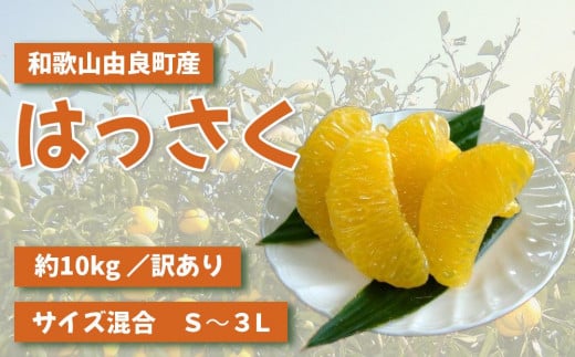 由良町産］紀州あかもく 100g×10パック（2023年産） - 和歌山県北山村