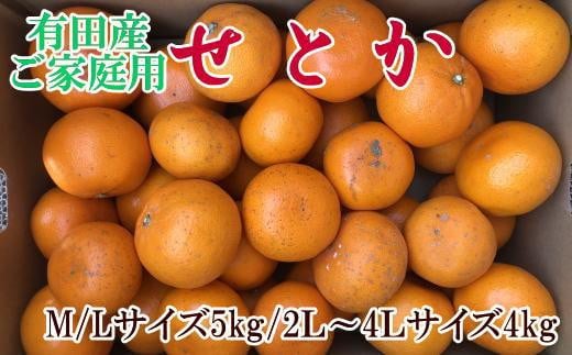 (訳あり・ご家庭用)一度は食べていただきたい「有田産のせとか」約4kg～5kg★2026年２月中旬頃より順次発送［TM210］ 963593 - 和歌山県印南町
