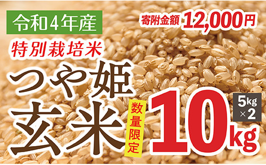 IG13002T【玄米】山形県産 特別栽培米 つや姫 10kg(5㎏×2袋)|五十嵐要商店