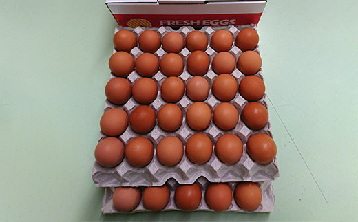 きみ恋し 箱入り 60個×6ヶ月 360個 卵 タマゴ たまご 玉子 鶏卵 在庫