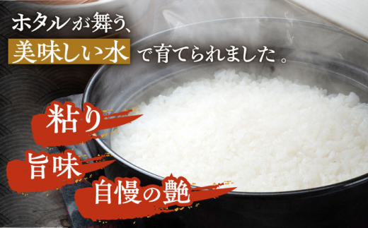 【令和5年産 新米】【全12回定期便】対馬産 ひのひかり 10kg「ほたる舞う三根川の米」 《対馬市》【永留しいたけ農園】 米 お米 弁当 新米 白米  弁当 [WAJ016]