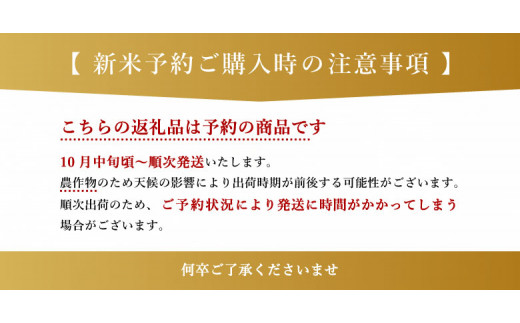 新米 令和5年産 森のくまさん 玄米30kg（30kg×1袋）