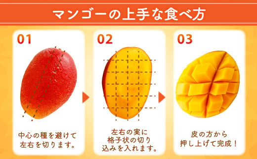 ＜宮崎県 完熟マンゴー 太陽のタマゴ 3L×2玉(合計 約900g)＞