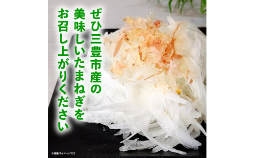 M02-0054_【先行予約】三豊市のたまねぎ 約20kg 果物・野菜 玉ねぎ 玉葱 タマネギ 玉ネギ - 香川県三豊市｜ふるさとチョイス -  ふるさと納税サイト