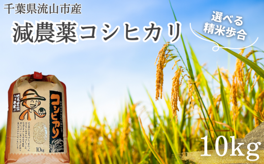 [流山産コシヒカリ]新川耕地・減農薬コシヒカリ10kg