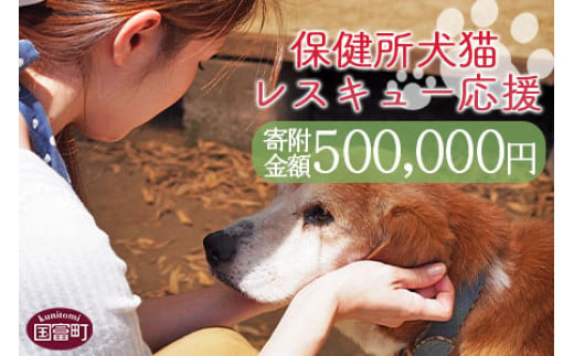 ＜保健所犬猫レスキュー【返礼品なしのご寄附】＞寄付金額500,000円※お礼状をお送りいたします。【 動物愛護 保護 犬 猫 いぬ ねこ イヌ ネコ 動物 どうぶつ ペット 応援 支援 寄付 使い道 いのちのはうす保護家 】 966627 - 宮崎県国富町