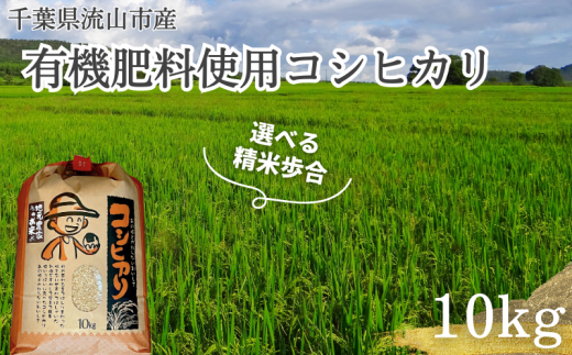 [流山産]有機肥料使用コシヒカリ