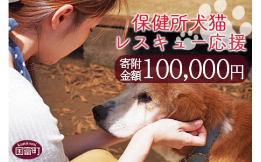＜保健所犬猫レスキュー【返礼品なしのご寄附】＞寄付金額100,000円※お礼状をお送りいたします。【 動物愛護 保護 犬 猫 いぬ ねこ イヌ ネコ 動物 どうぶつ ペット 応援 支援 寄付 使い道 いのちのはうす保護家 】 966626 - 宮崎県国富町