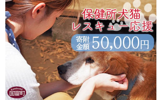 ＜保健所犬猫レスキュー【返礼品なしのご寄附】＞寄付金額50,000円※お礼状をお送りいたします。【 動物愛護 保護 犬 猫 いぬ ねこ イヌ ネコ 動物 どうぶつ ペット 応援 支援 寄付 使い道 いのちのはうす保護家 】 966625 - 宮崎県国富町