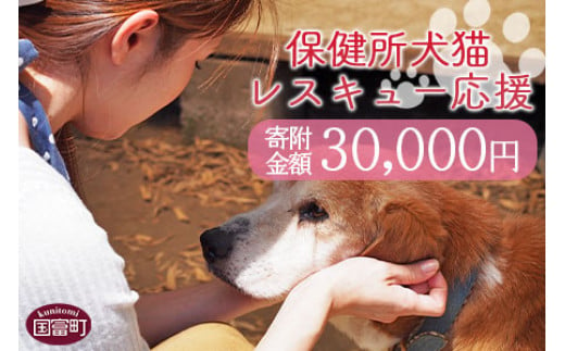＜保健所犬猫レスキュー【返礼品なしのご寄附】＞寄付金額30,000円※お礼状をお送りいたします。【 動物愛護 保護 犬 猫 いぬ ねこ イヌ ネコ 動物 どうぶつ ペット 応援 支援 寄付 使い道 いのちのはうす保護家 】 966624 - 宮崎県国富町