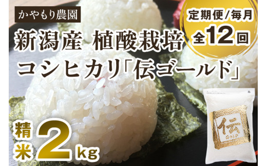 新潟産コシヒカリ「伝ゴールド」白米真空パック 精米2kg