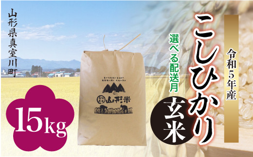 配送時期が選べて便利＞ 令和5年産 真室川町 【玄米】コシヒカリ15