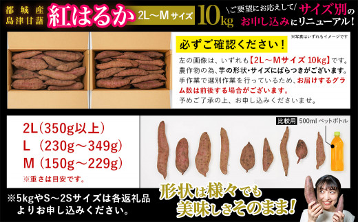 先行受付!】島津甘藷 熟成紅はるか 10kg(2L～M) ※令和5年産新芋_AA