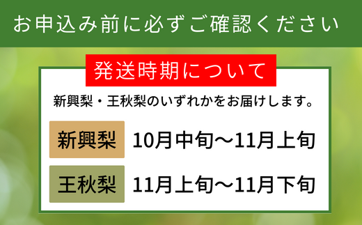 受付再開 今シーズン最終受付です】梨 晩生梨（新興梨、王秋梨）香住産