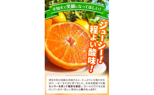 熊本県津奈木町のふるさと納税 不知火 贈答用 熊本のブランド果実 不知火 10玉 約3kg 未来来農園 デコポン と同品種 でこぽん フルーツ 果物 みかん ミカン 柑橘 しらぬい 《2月下旬-4月末頃出荷》熊本県 葦北郡 津奈木町