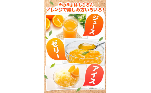 熊本県津奈木町のふるさと納税 不知火 贈答用 熊本のブランド果実 不知火 10玉 約3kg 未来来農園 デコポン と同品種 でこぽん フルーツ 果物 みかん ミカン 柑橘 しらぬい 《2月下旬-4月末頃出荷》熊本県 葦北郡 津奈木町