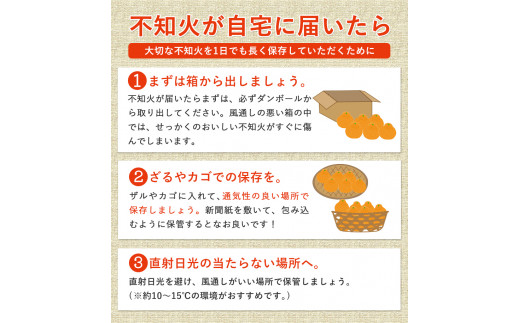 熊本県津奈木町のふるさと納税 不知火 贈答用 熊本のブランド果実 不知火 10玉 約3kg 未来来農園 デコポン と同品種 でこぽん フルーツ 果物 みかん ミカン 柑橘 しらぬい 《2月下旬-4月末頃出荷》熊本県 葦北郡 津奈木町