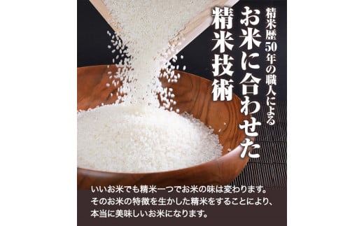 【令和6年7月発送】 【先行受付】令和5年産 新米 米 15kg ふるさと米 備中笠岡 人気品種をお届け！ 国産 ヒノヒカリ あきたこまち にこまる  きぬむすめ お米 ブランド米 ふっくら ハリ おにぎり 弁当 発送時期が選べる 単一原料米 検査済み お取り寄せ 送料無料 岡山県産|