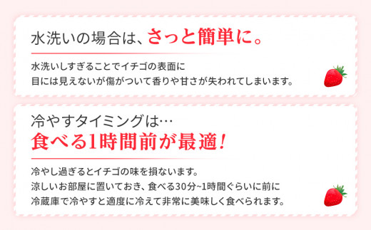 【2024年2月上旬から順次発送】