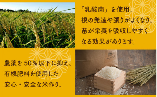 【玄米】【令和5年産新米】《定期便6回》にこまる 5kg（計30kg）|長谷川農園株式会社