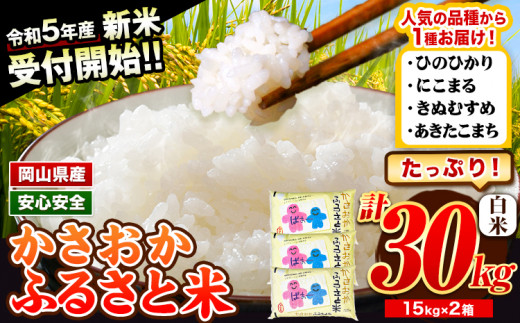 令和6年2月発送】【先行受付】令和5年産 新米 備中笠岡ふるさと米 30kg