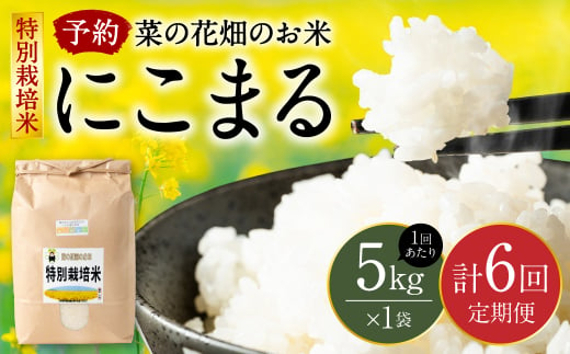 2023年11月上旬より順次発送】 【6回定期便】菜の花畑のお米 「特別