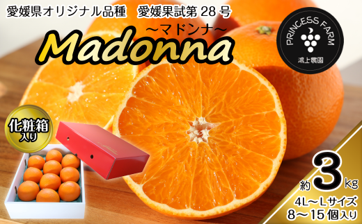 【先行予約】 農園直送 「Madonna（ 愛媛果試第28号 ）」 約３㎏ 化粧箱 お任せサイズ（L～4L）8～15個入  2024年11月下旬～2025年1月中旬頃発送　愛媛県オリジナル品種 柑橘 マドンナ