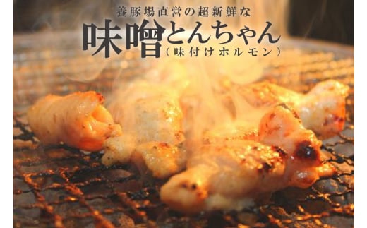 養豚場直営の超新鮮な味噌とんちゃん（味付けホルモン） 967220 - 愛知県常滑市