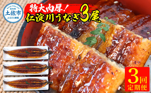 【3回定期便】仁淀川特大肉厚うなぎ3尾セット 定期コース 3ヶ月 タレ付き うなぎ 鰻 ウナギ 蒲焼き かば焼き 1尾200g超え 仁淀川 国産 太化うなぎ 養殖 おいしい 人気 冷凍 夏
