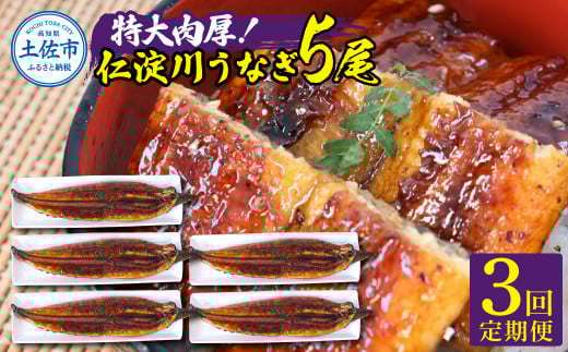 【3回定期便】仁淀川特大肉厚うなぎ5尾セット 定期コース 3ヶ月 タレ付き うなぎ 鰻 ウナギ 蒲焼き かば焼き 1尾200g超え 仁淀川 国産 太化うなぎ 養殖 おいしい 人気 冷凍 夏