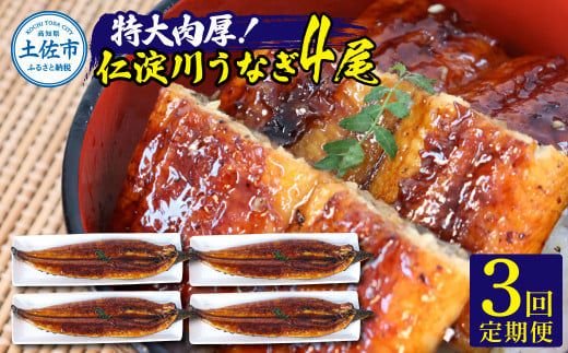 【3回定期便】仁淀川特大肉厚うなぎ4尾セット 定期コース 3ヶ月 タレ付き うなぎ 鰻 ウナギ 蒲焼き かば焼き 1尾200g超え 仁淀川 国産 太化うなぎ 養殖 おいしい 人気 冷凍 夏