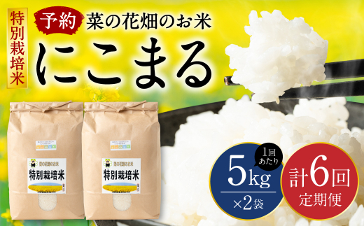 先行予約】【2023年11月上旬より順次発送】 【6回定期便】菜の花畑のお