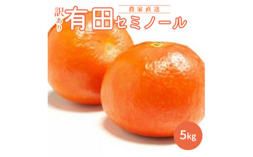 AN6110n_和歌山有田産 セミノールオレンジ【訳あり 家庭用】5kg (M～3Lサイズ混合)
