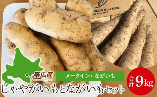 長いも　9kg 岩手県八幡平市産