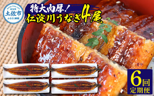 【6回定期便】仁淀川特大肉厚うなぎ4尾セット 定期コース 6ヶ月 タレ付き うなぎ 鰻 ウナギ 蒲焼き かば焼き 1尾200g超え 仁淀川 国産 太化うなぎ 養殖 おいしい 人気 冷凍 夏