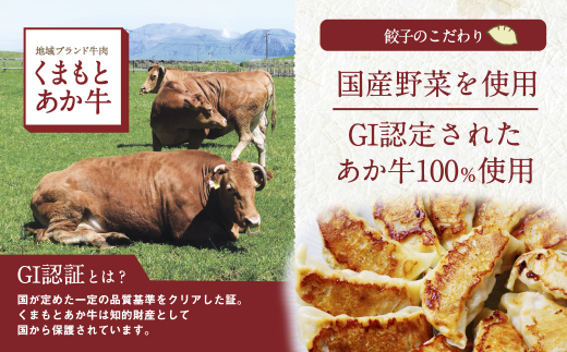 くまもとあか牛100%餃子[60個(20個入り×3)]