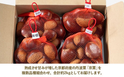 【先行予約】丹波栗 おまかせセット 4種類 約2kg【数量限定/氷温