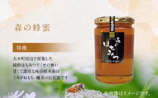 国産蜂蜜1ｋｇ（500ｇ瓶×２）セット　BM014