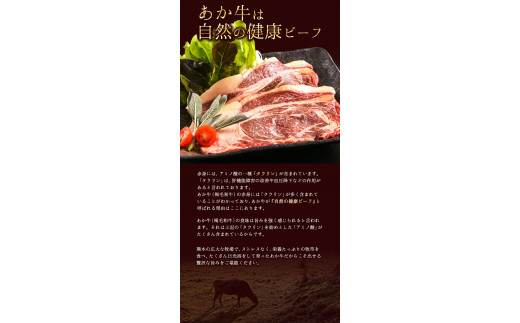 あか牛（褐毛和種）ロースステーキ (リブまたはサーロイン) 250g×2 500g 熊本県産 肉 和牛 牛肉 赤牛 あかうし リブロース サーロイン  冷凍 《1月中旬-4月末頃より出荷予定》送料無料