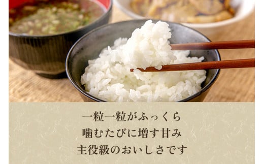 【定期便6ヶ月毎月お届け】新潟県加茂市 七谷産 棚田米コシヒカリ 精米10kg（5kg×2）白米 加茂有機米生産組合