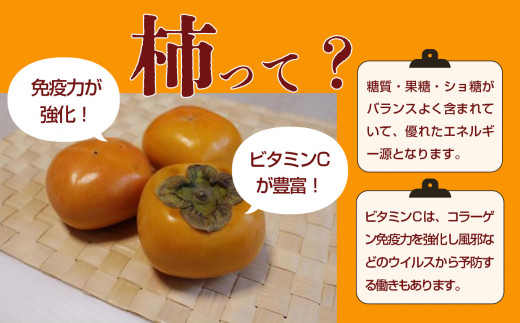 たねなし柿 7.5kg箱（26～30個入） - 奈良県五條市｜ふるさとチョイス