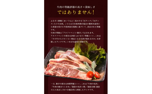 あか牛（褐毛和種）ロースステーキ (リブまたはサーロイン) 250g×2 500g 熊本県産 肉 和牛 牛肉 赤牛 あかうし リブロース サーロイン  冷凍 《1月中旬-4月末頃より出荷予定》送料無料