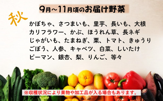 お届け野菜は一例です。収穫状況により異なります。野菜の指定はできません。