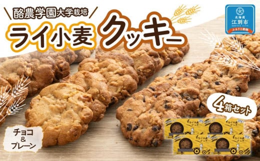 ライ小麦クッキー4箱セット 969702 - 北海道江別市
