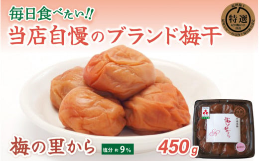 梅の里から450g （塩分９％） / 田辺市 紀州南高梅 南高梅 梅干し 梅干 梅 ご飯のお供 925178 - 和歌山県田辺市