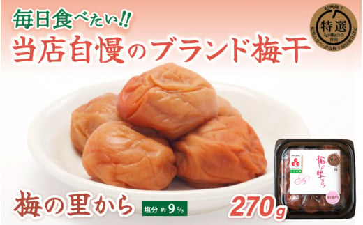 梅の里から270g （塩分９％） / 田辺市 紀州南高梅 南高梅 梅干し 梅干 梅 ご飯のお供 925174 - 和歌山県田辺市