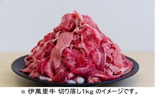 [直送 伊萬里牛]切り落し1kg(500g×2P)